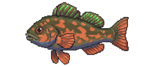Rock Greenling
